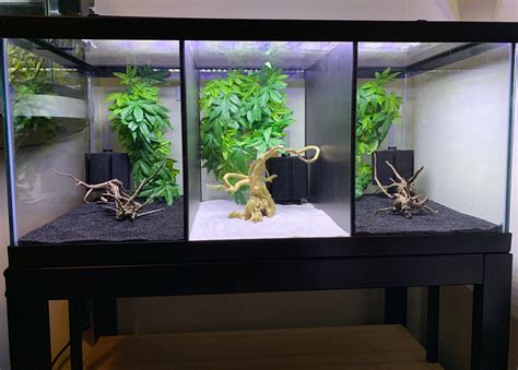 aquarium divider 40 gallon